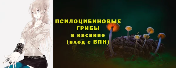 метадон Карпинск