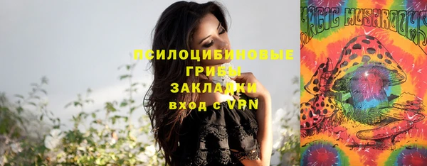 кокс Каменногорск